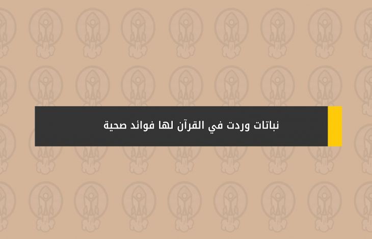 نباتات وردت في القرآن لها فوائد صحية